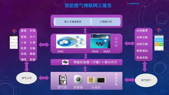 黑龙江省国家密码管理局 筑牢网络安全防线，引领信息安全软件开发新篇章